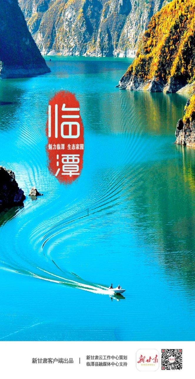 学会计和学开车哪个容易？游戏画面
